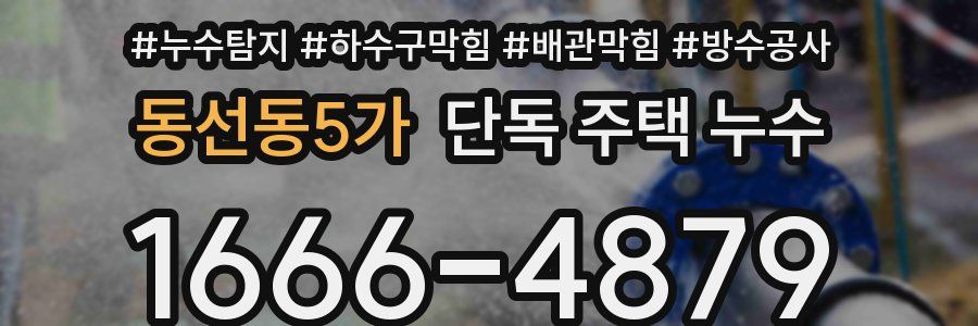 동선동5가 단독 주택 누수