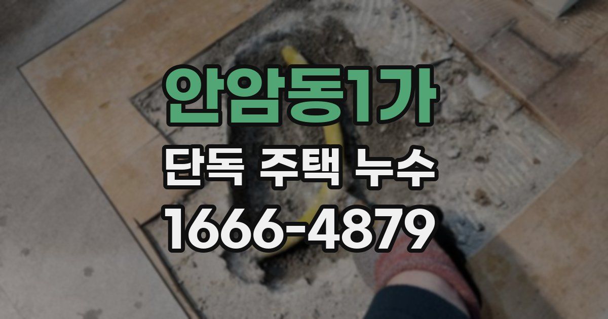 안암동1가 단독 주택 누수