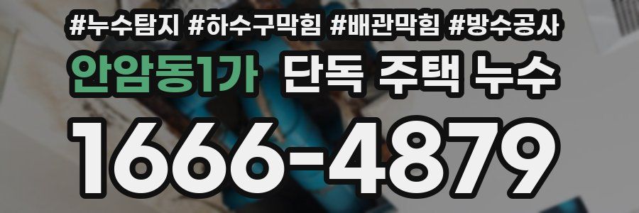 안암동1가 단독 주택 누수