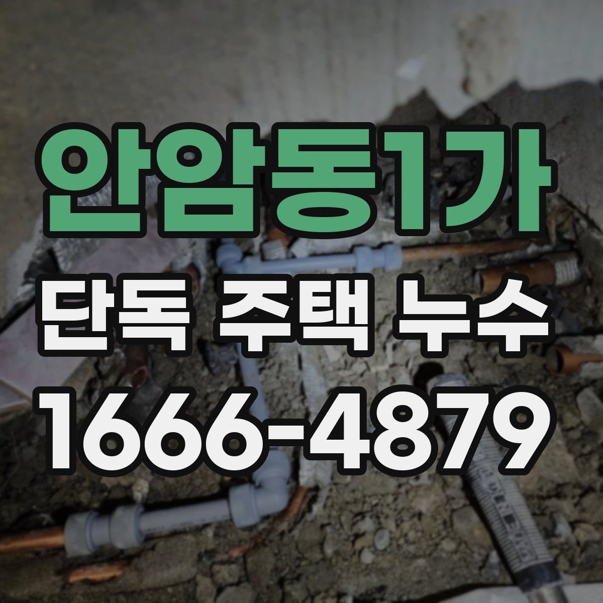 안암동1가 단독 주택 누수