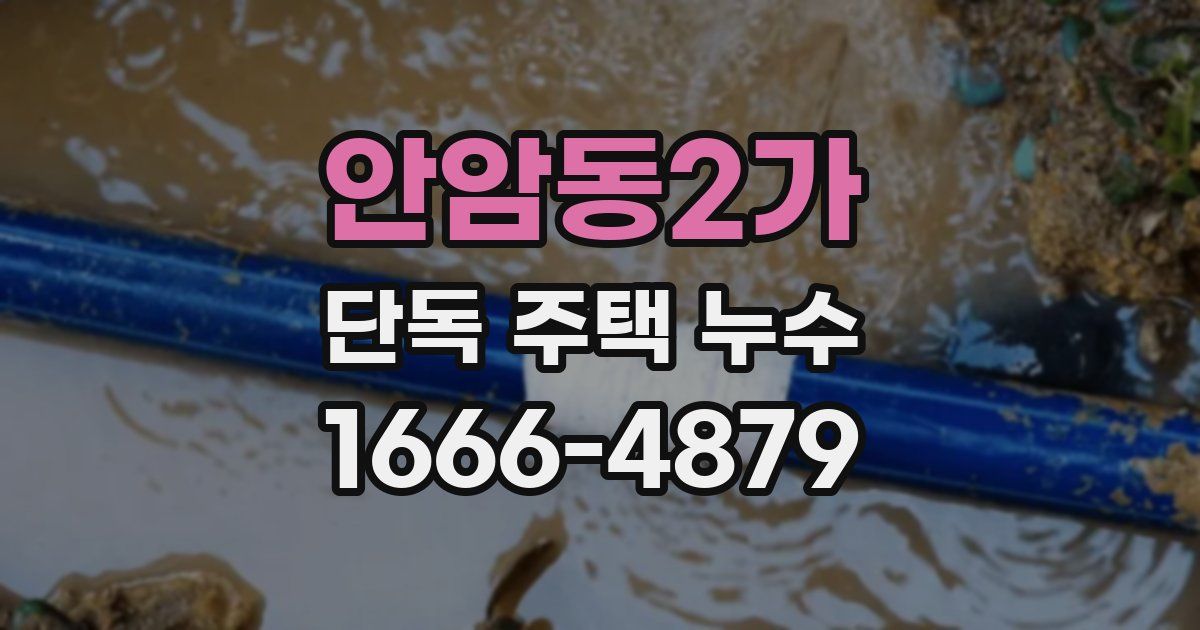 안암동2가 단독 주택 누수