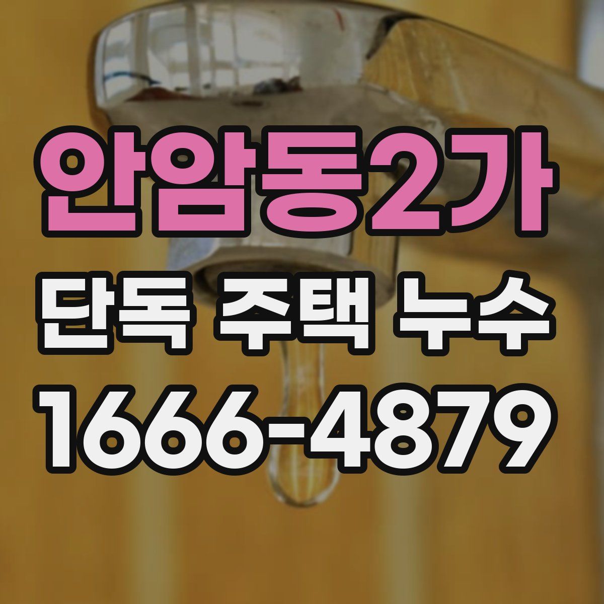 안암동2가 단독 주택 누수