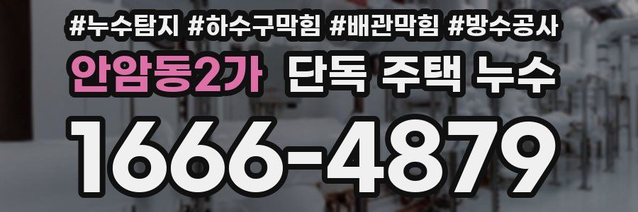 안암동2가 단독 주택 누수