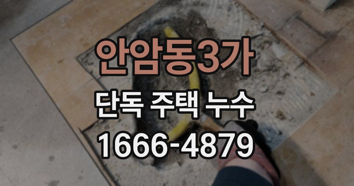 안암동3가 단독 주택 누수