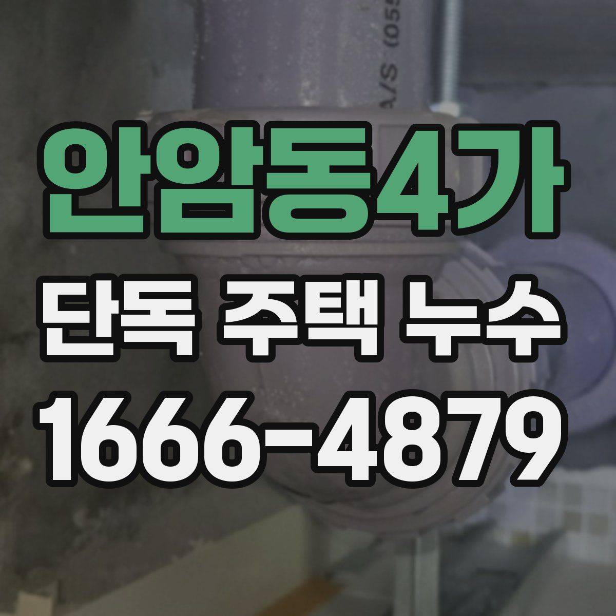 안암동4가 단독 주택 누수