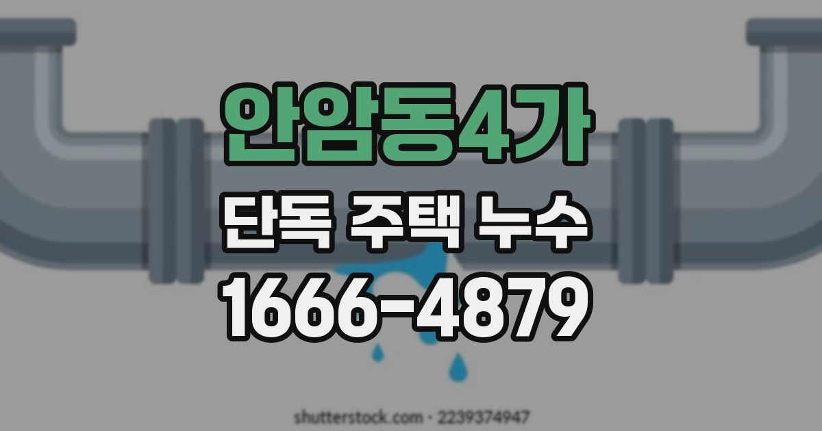 안암동4가 단독 주택 누수