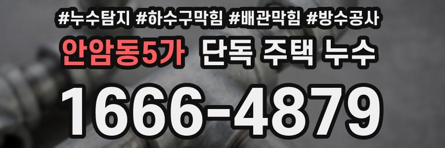 안암동5가 단독 주택 누수