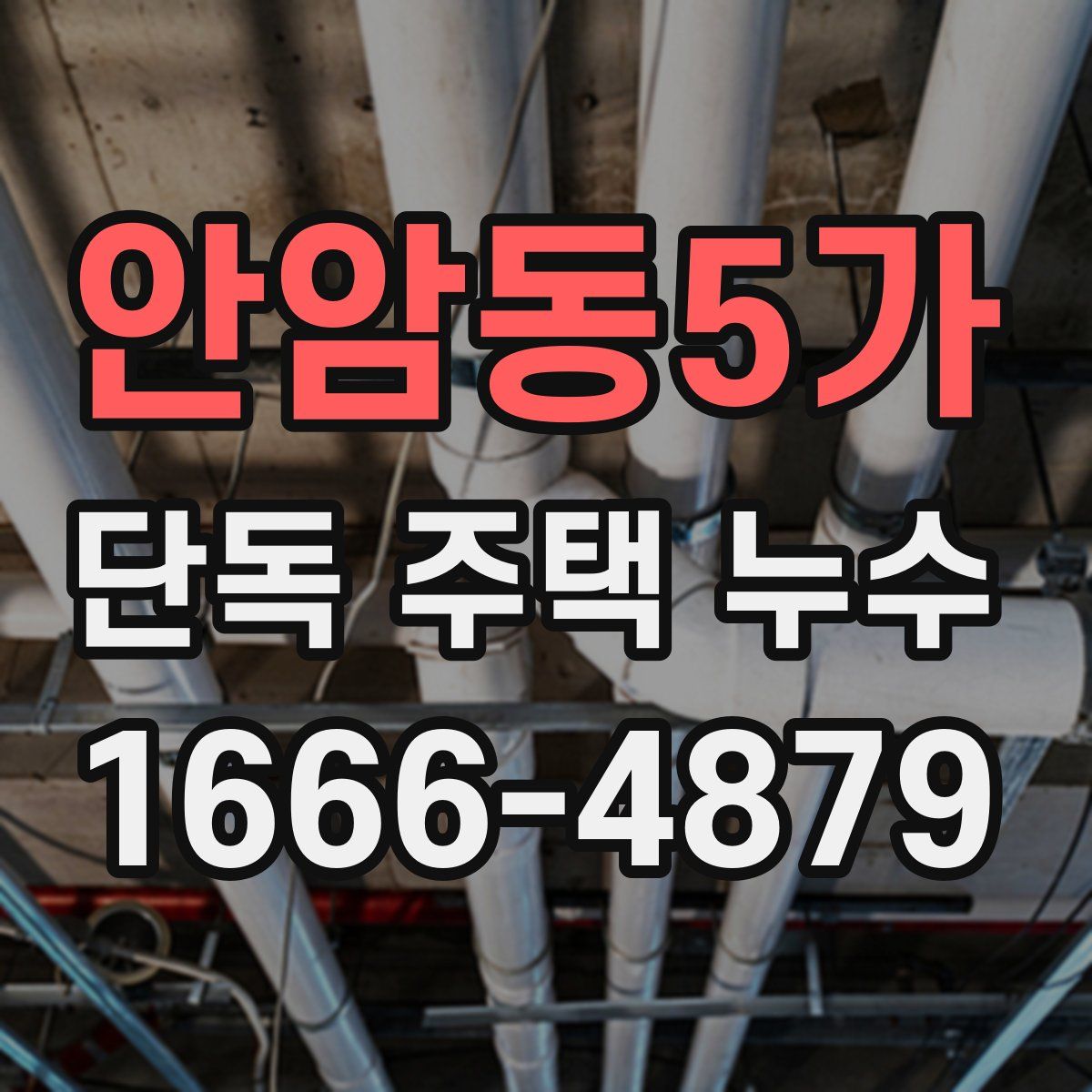 안암동5가 단독 주택 누수