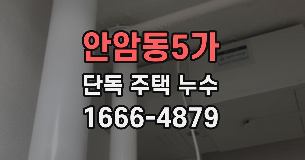 안암동5가 단독 주택 누수