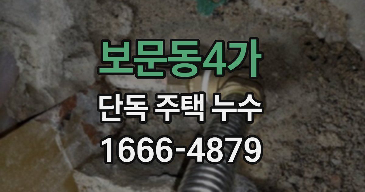 보문동4가 단독 주택 누수