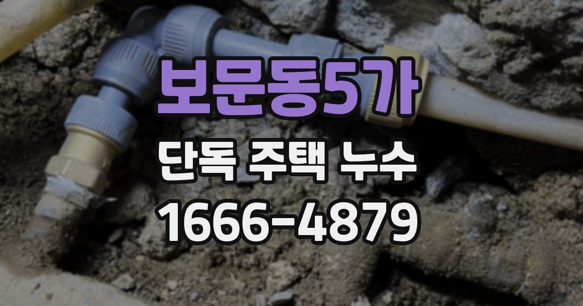 보문동5가 단독 주택 누수