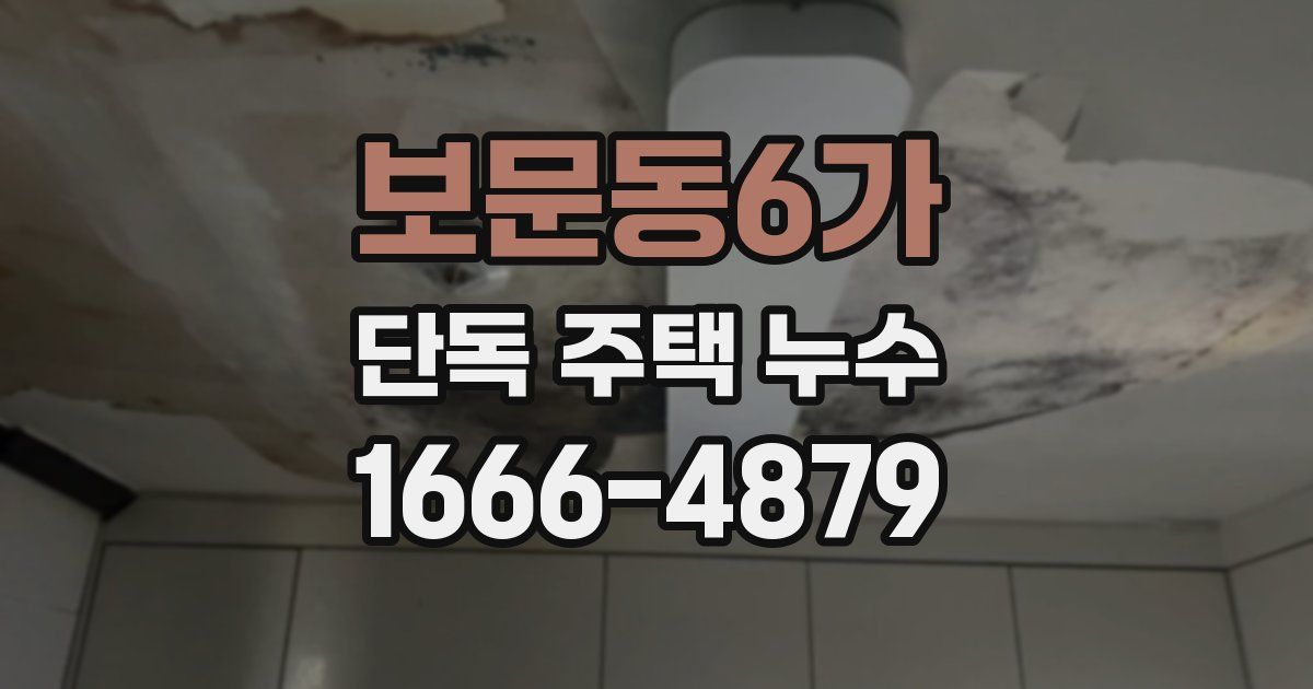 보문동6가 단독 주택 누수
