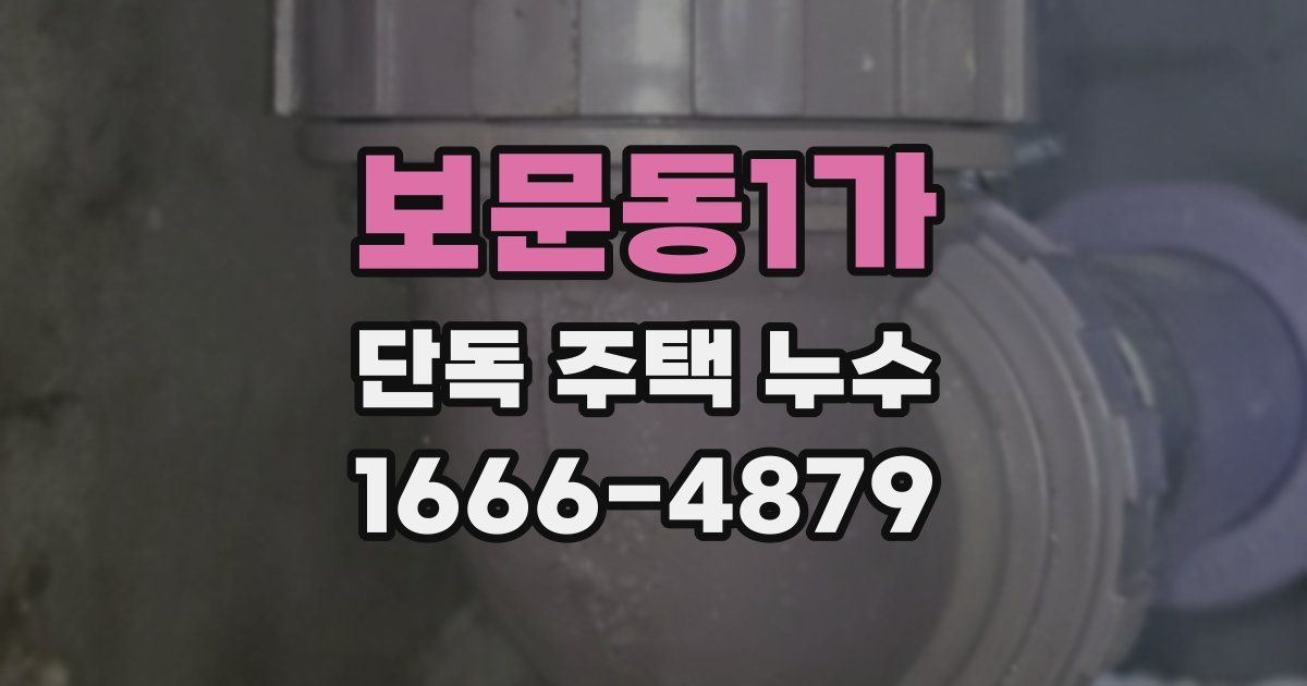 보문동1가 단독 주택 누수