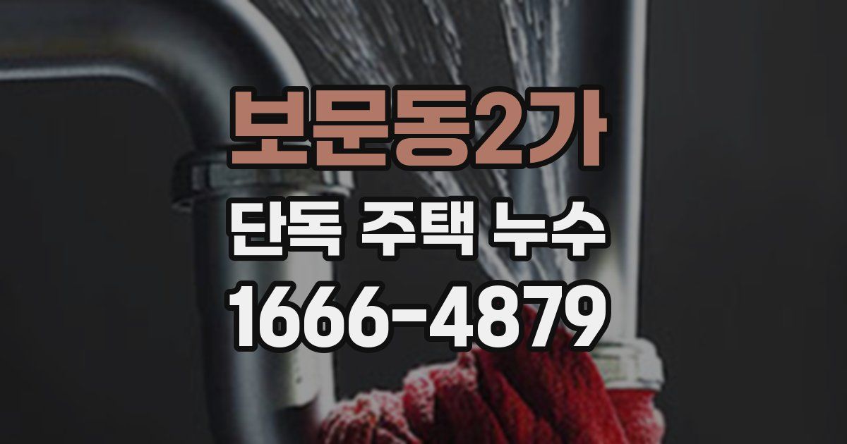 보문동2가 단독 주택 누수