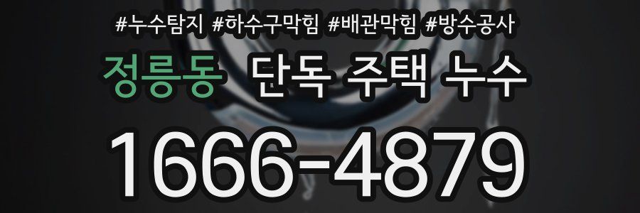 정릉동 단독 주택 누수