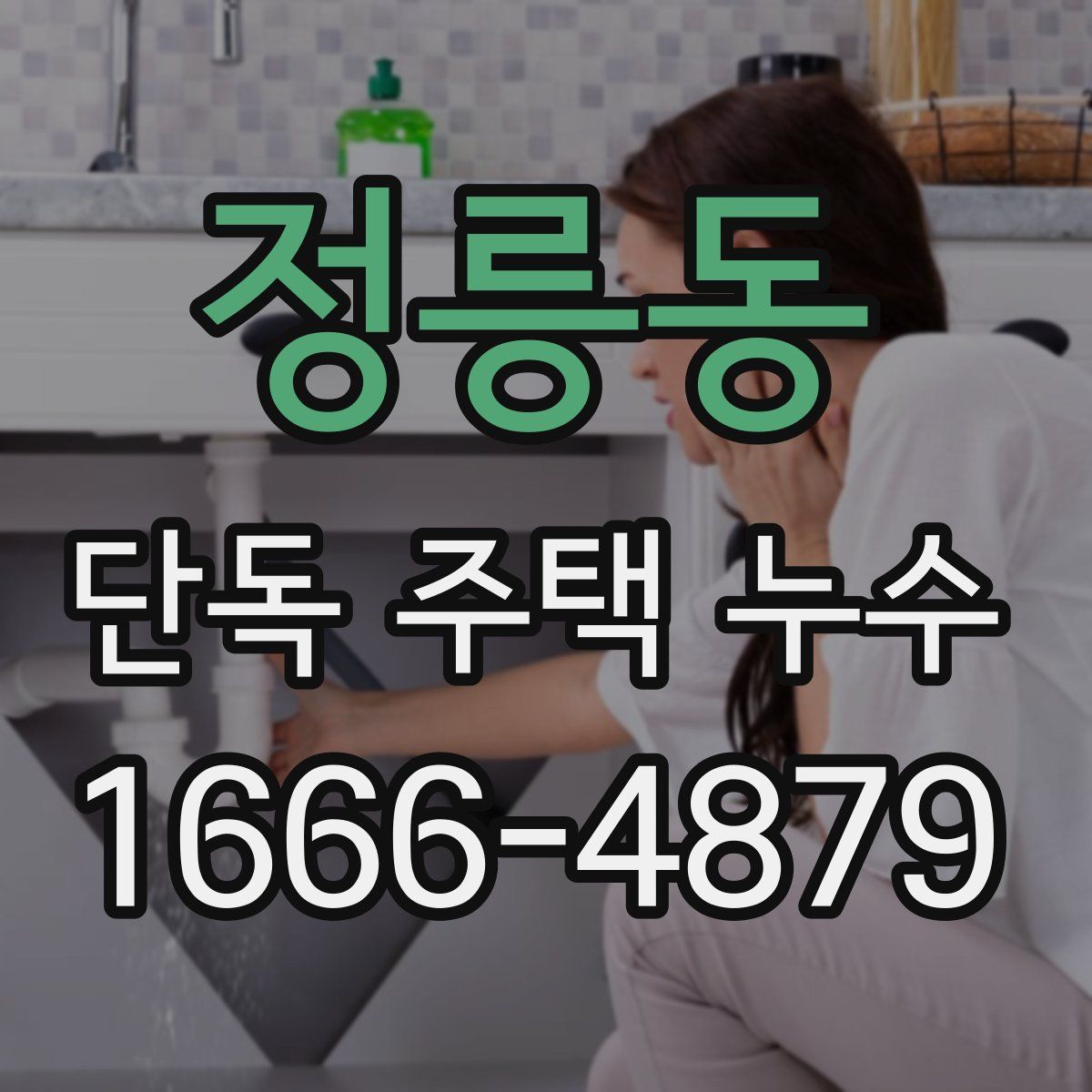 정릉동 단독 주택 누수