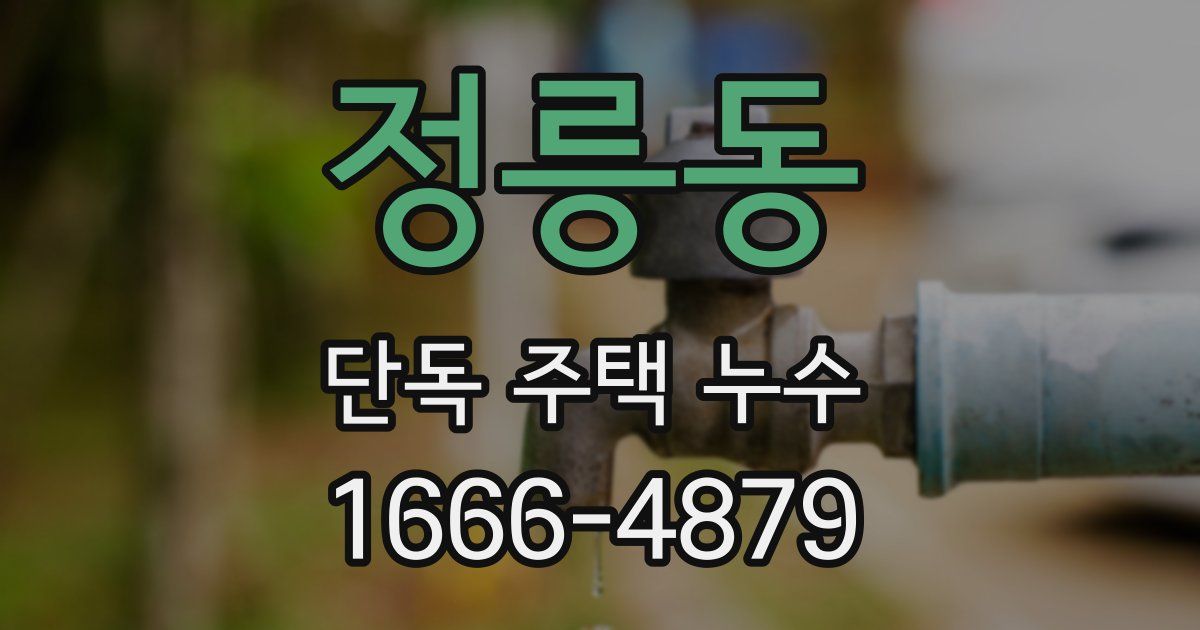 정릉동 단독 주택 누수