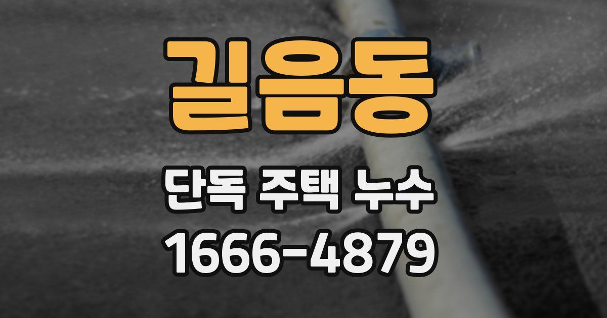 길음동 단독 주택 누수