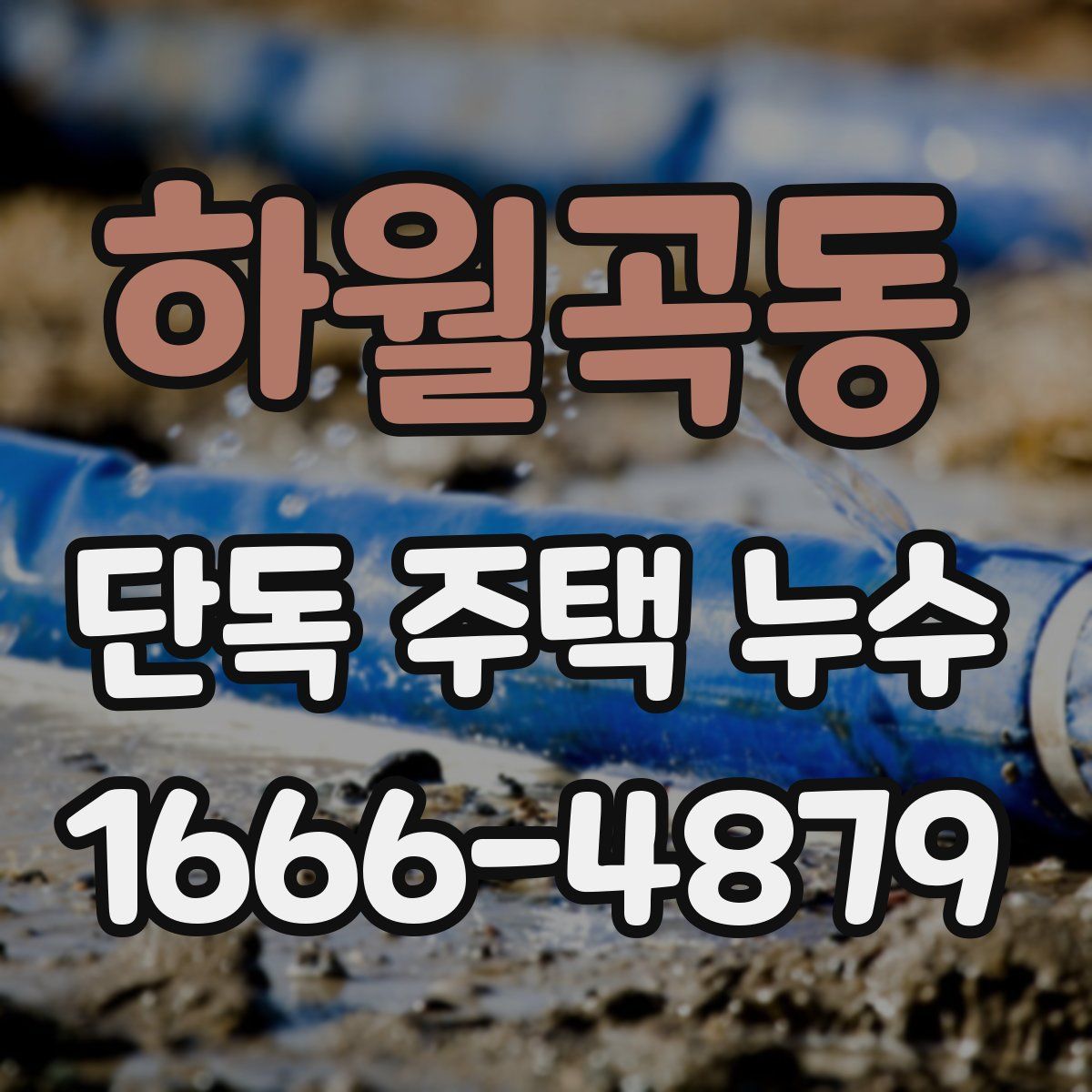 하월곡동 단독 주택 누수