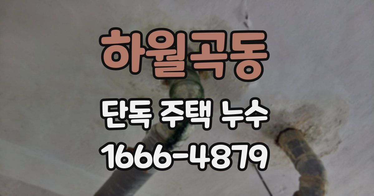 하월곡동 단독 주택 누수