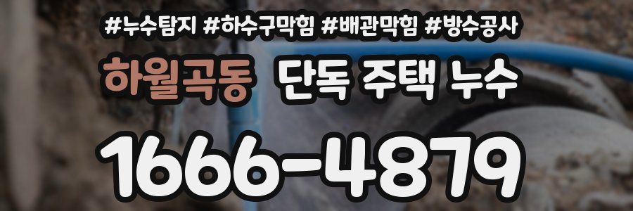 하월곡동 단독 주택 누수