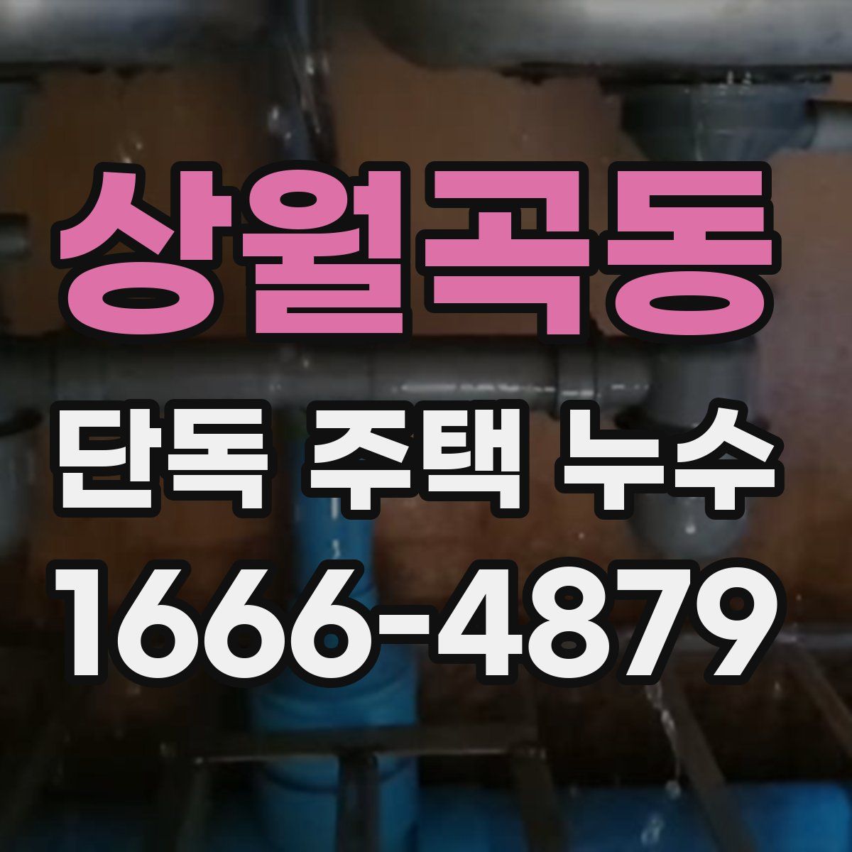 상월곡동 단독 주택 누수