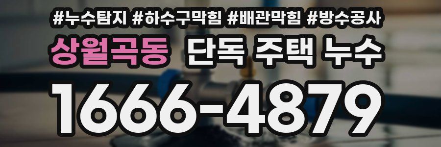 상월곡동 단독 주택 누수