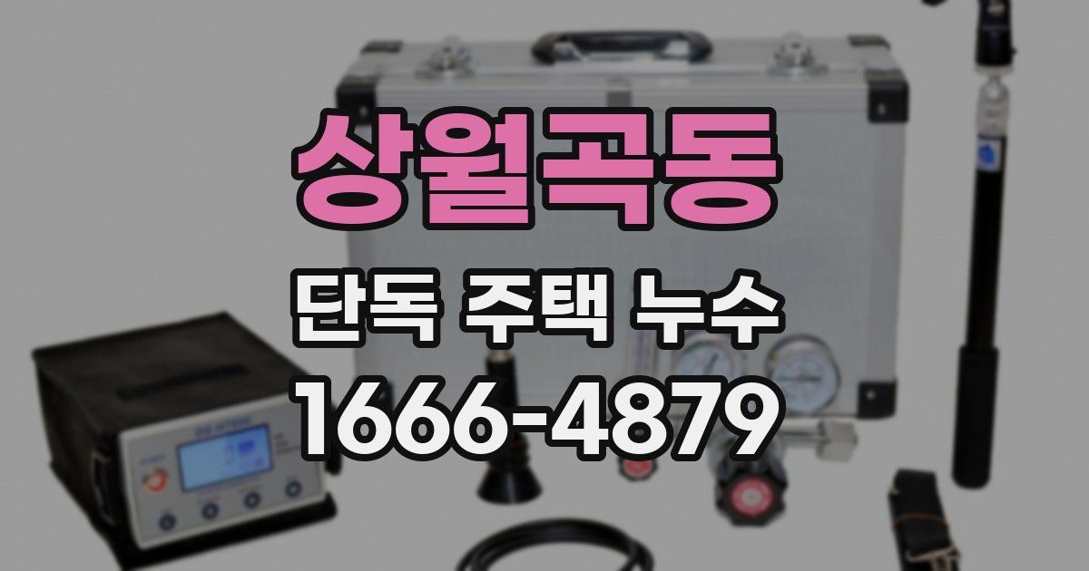 상월곡동 단독 주택 누수