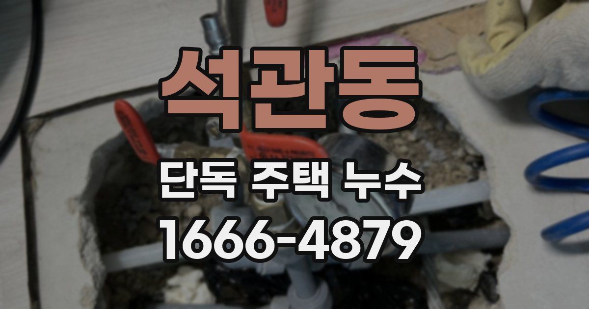 석관동 단독 주택 누수