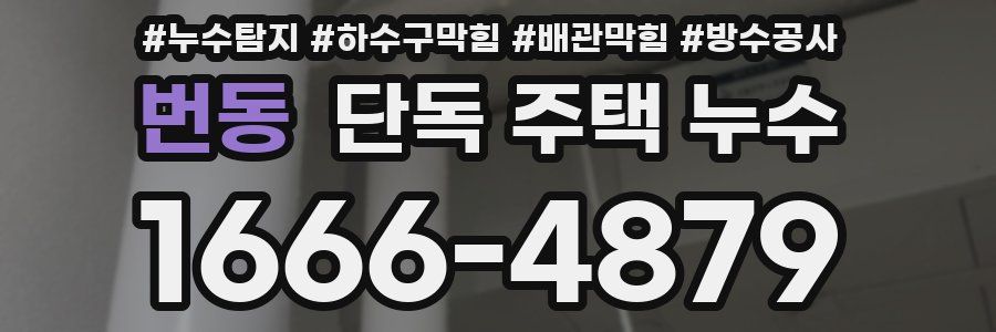 번동 단독 주택 누수