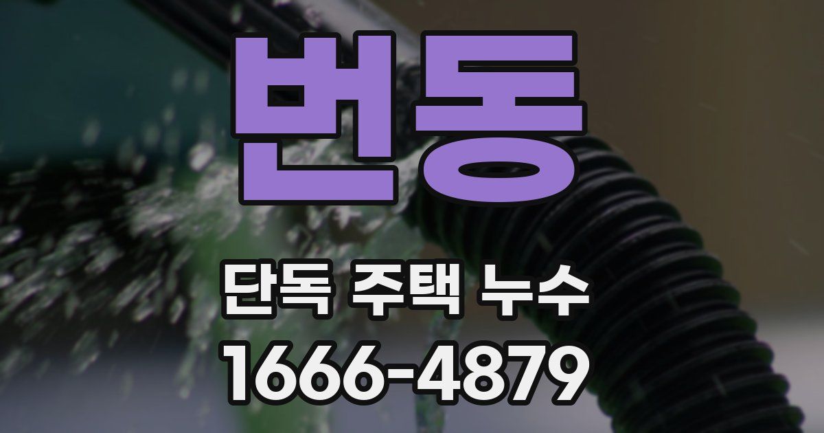 번동 단독 주택 누수