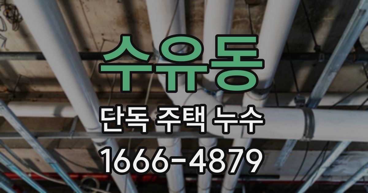 수유동 단독 주택 누수