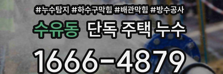 수유동 단독 주택 누수