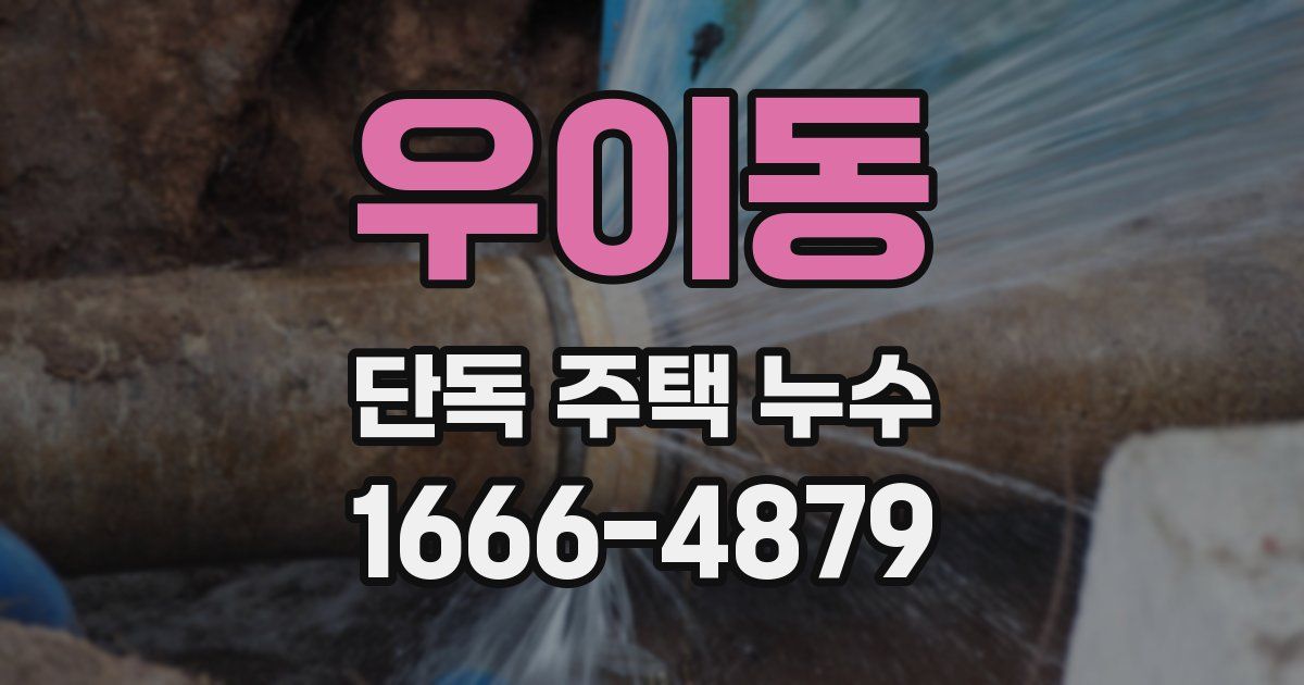 우이동 단독 주택 누수