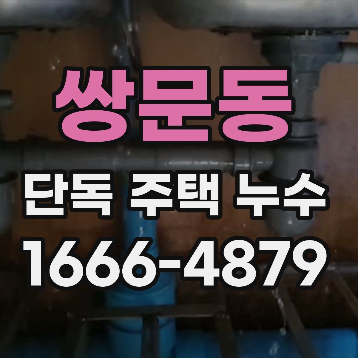 쌍문동 단독 주택 누수