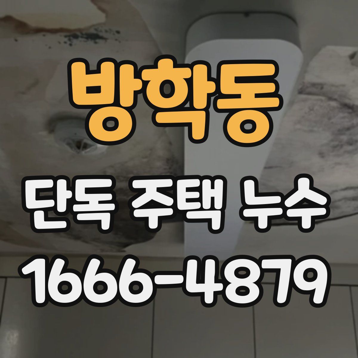 방학동 단독 주택 누수