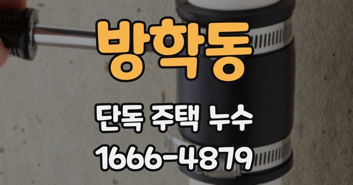 방학동 단독 주택 누수