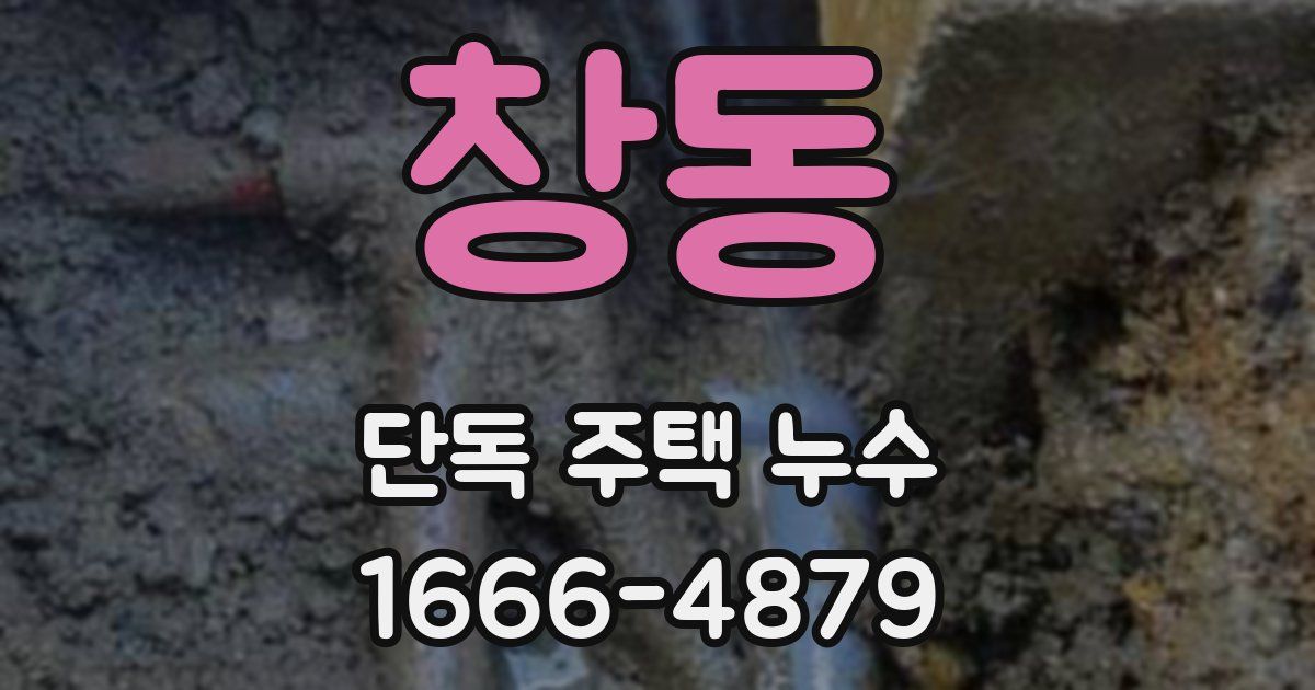 창동 단독 주택 누수