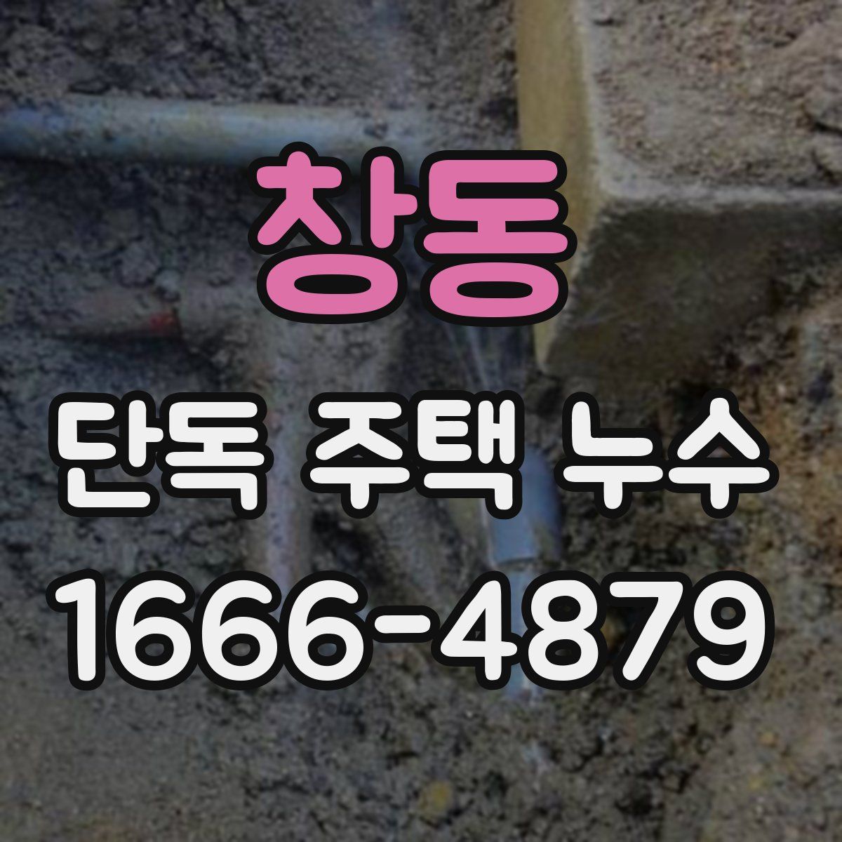 창동 단독 주택 누수