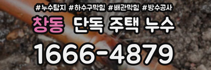창동 단독 주택 누수