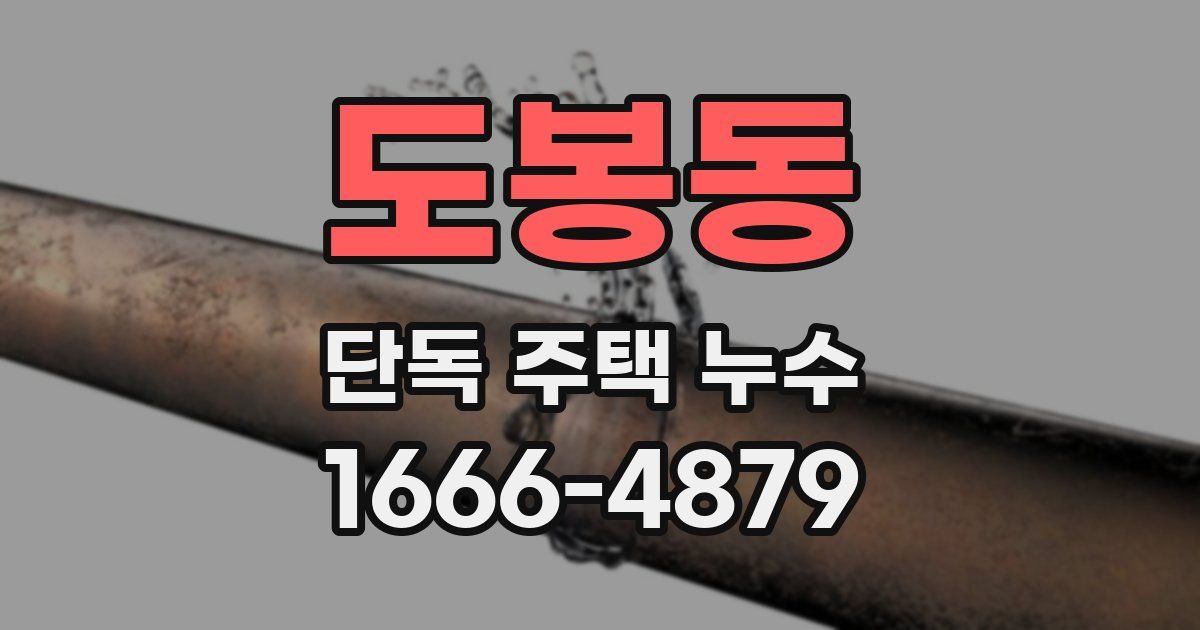 도봉동 단독 주택 누수