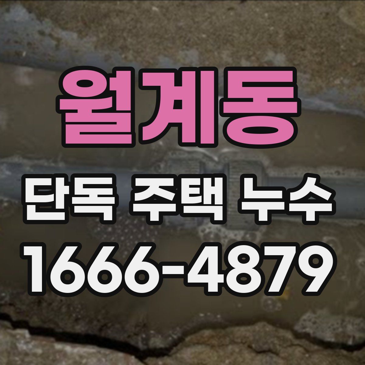 월계동 단독 주택 누수