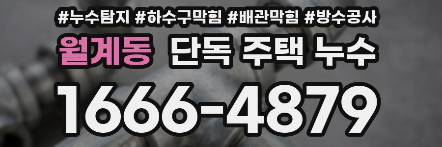 월계동 단독 주택 누수