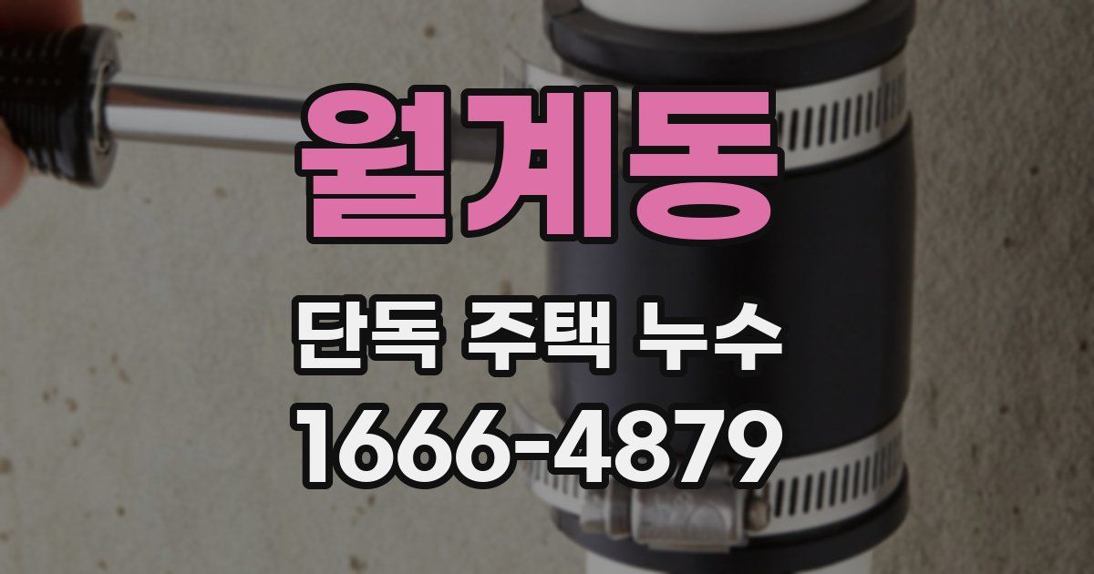 월계동 단독 주택 누수