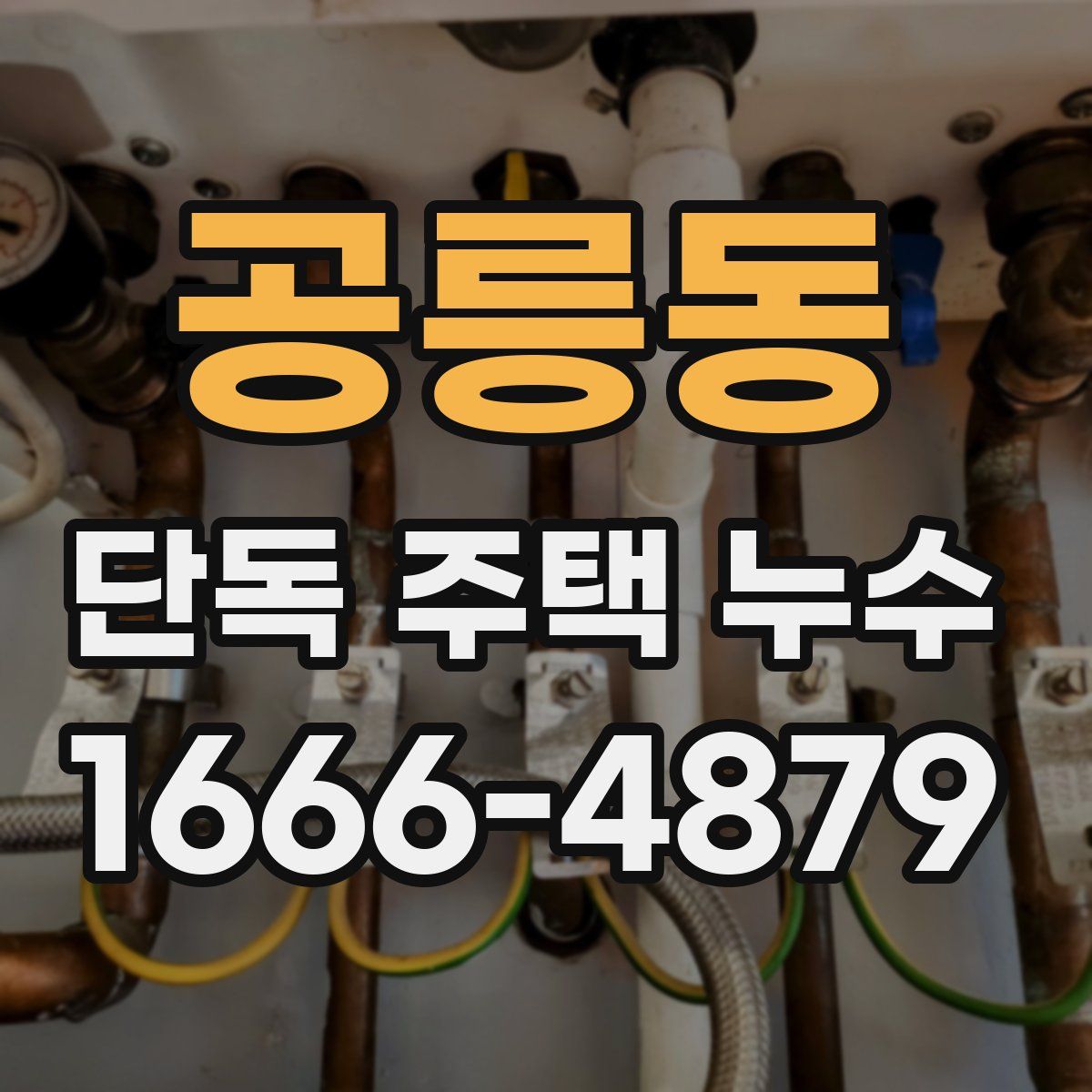 공릉동 단독 주택 누수