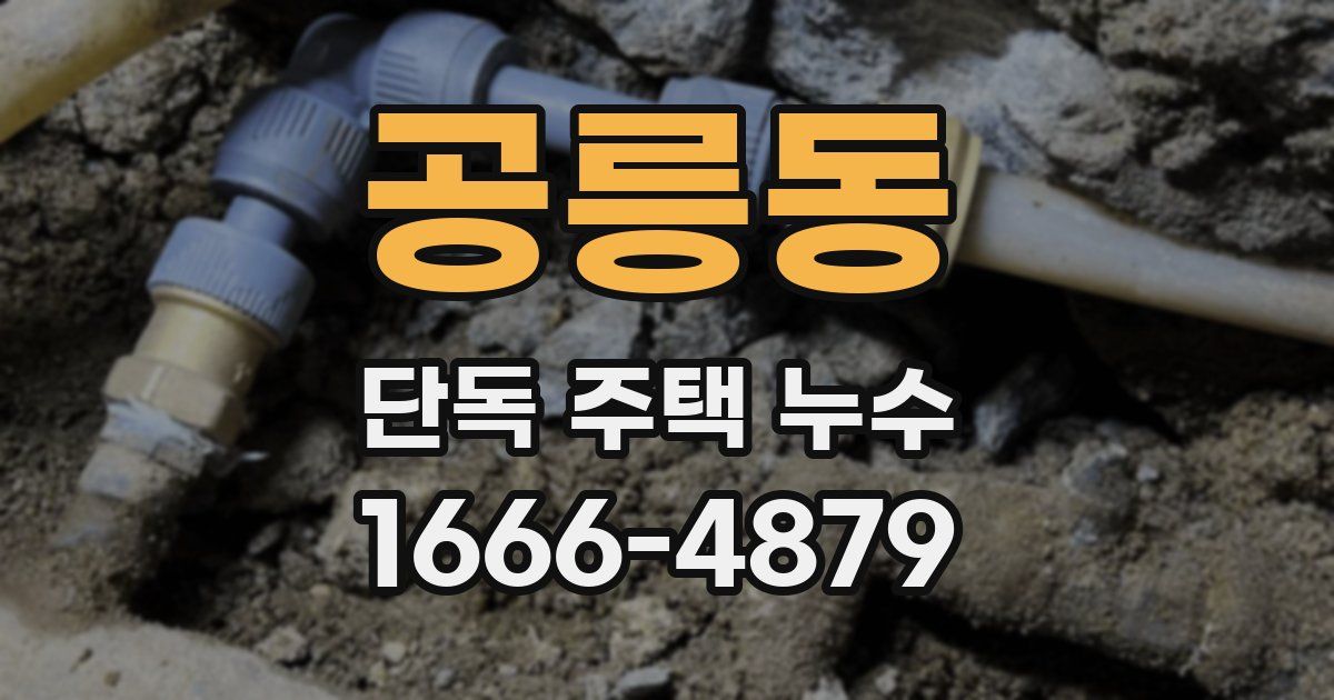 공릉동 단독 주택 누수