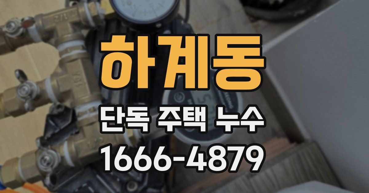 하계동 단독 주택 누수
