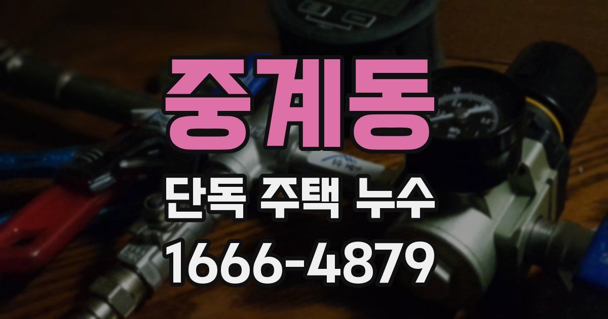 중계동 단독 주택 누수