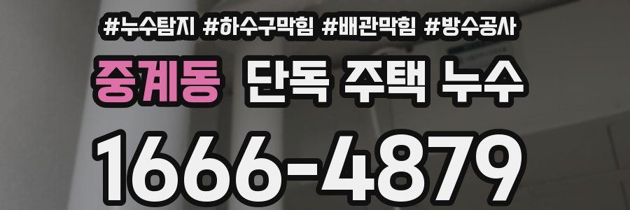 중계동 단독 주택 누수