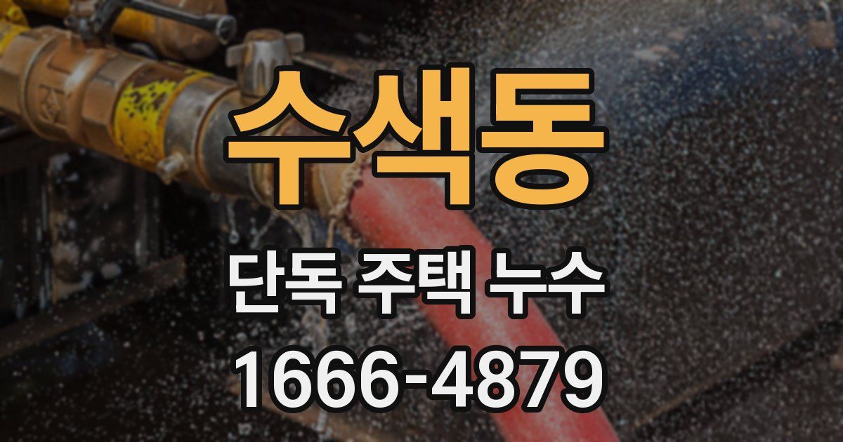 수색동 단독 주택 누수